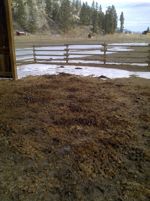 To the undiscerning eye, this is a mess. To the entrepreneur, it's an opportunity.