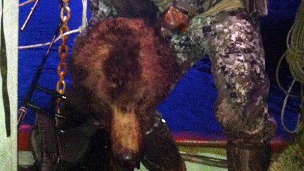 Photo of NHL player Clayton Stoner with head of grizzly bear earlier this year spurred debate over trophy hunting.