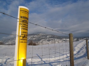 Intervenor status on pipeline expansion should be sought by City, says staffer.