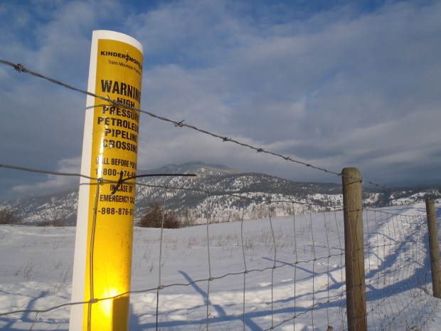 Intervenor status on pipeline expansion should be sought by City, says staffer.