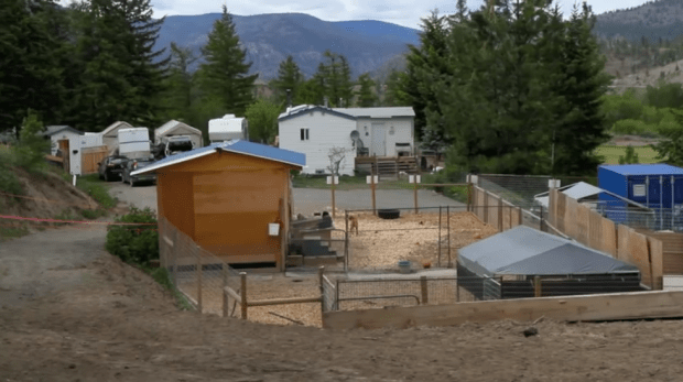Angel's Animal Rescue shelter near Merritt. (Screenshot from AAR website)
