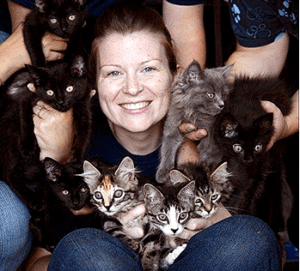 Too many cats. (Viktoria Haak photo)