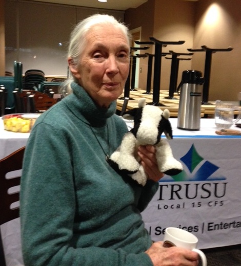 Jane Goodall at TRU Monday night with stuffed cow she uses when she talks about factory farming.