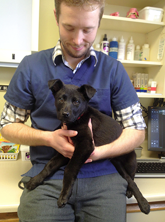 Rocky is on the mend.