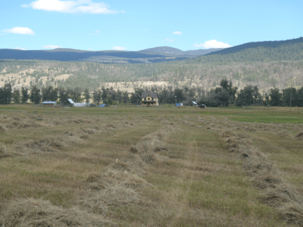 ALR and other two-part questions.