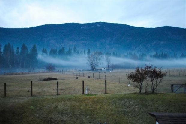 Doing a slow burn in spring.