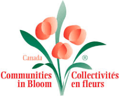 CIBloomlogo