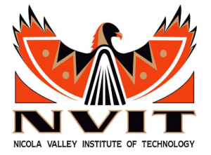NVIT logo