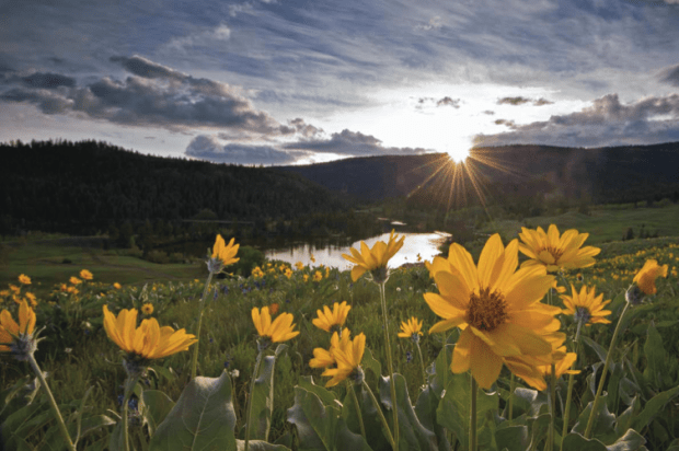 Photo from new Ajax publication.