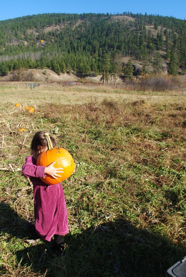 As one of our daughters demonstrates,  you're never too young to start your agri-workout.