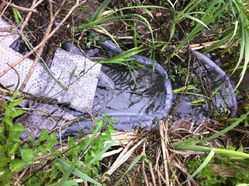 Photo courtesy Shuswap Emergency Program.