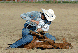 File photo. (B.C. SPCA website)