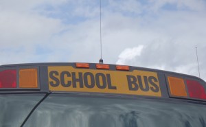 Seat belts for buses?