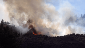 Fire above Westsyde on Friday afternoon.