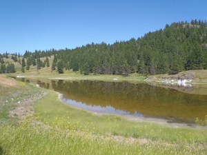 Goose Lake is now under security,