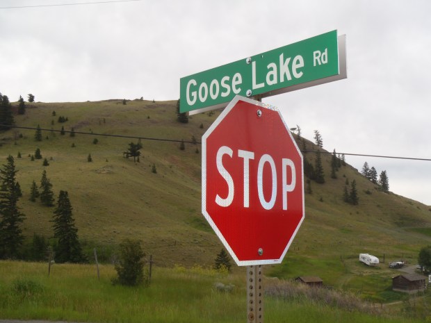 What will happen to Goose Lake Road?