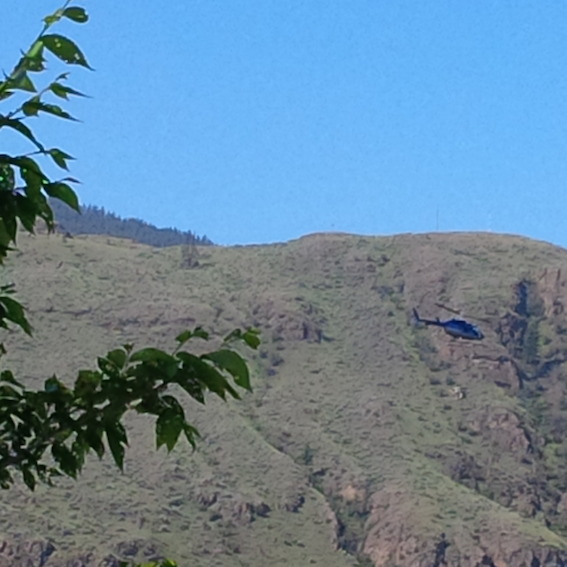 What was helicopter doing at Rabbit island?