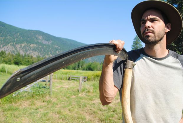 Proper technique and a sharp edge can make cutting hay  with a scythe a rewarding experience.