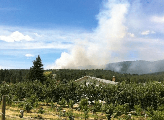 Smoke rises from West Kelowna fire. (Twitter)