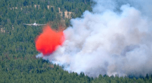 Smith Creek fire. (CTV tweet)