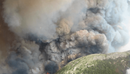 Mount McAllister Fire. (BCGovFiresInfo photo)