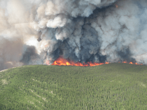 Giant McAllister Lake wildfire burns out of control. (Wildlife Management Branch photo)