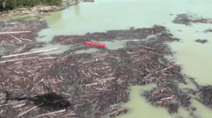 Debris caused by tailings-pond breach.  (Cariboo Regional District)