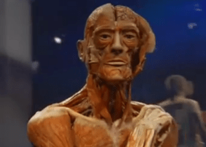 Screen grab, Body Worlds video.