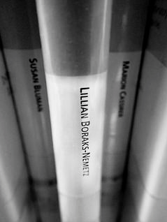 Some of Holocaust videos.