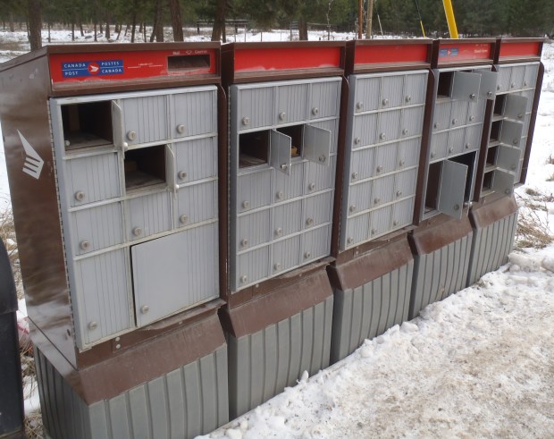 Community mailboxes are a target for thieves.