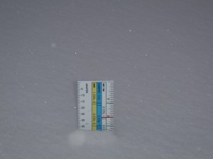 16-inch ruler takes the measure of snowfall this morning.