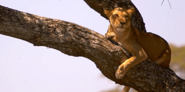 (gadventures.com photo)