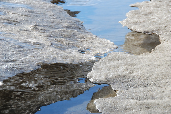 (Daniela Ginta photo)