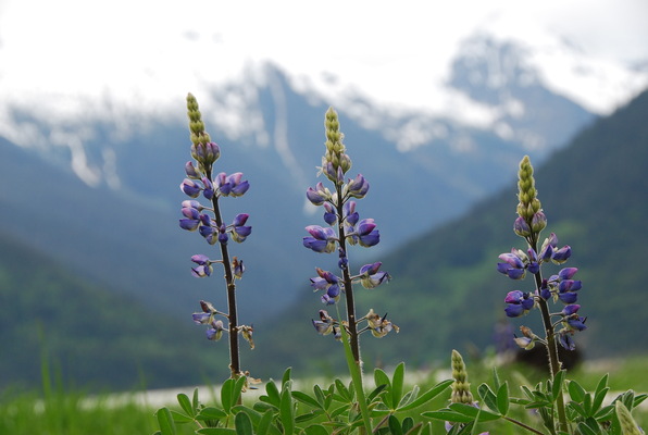 Leaving Nature the way we find it.