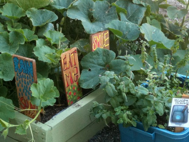 Urban agriculture is an important consideration in assessing Ajax, says resident. (Community Gardens photo)