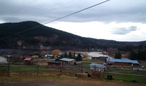 Pinantan will decide on fire service via petition.