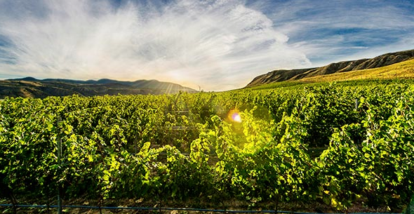 Kamloops now has four wineries. (kamloopswinetrail.com photo)