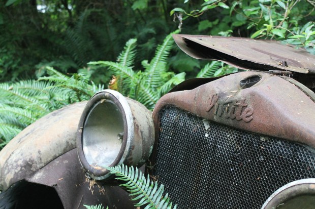 (Daniela Ginta photo)