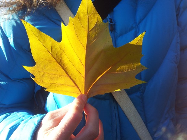 (Daniela Ginta photo)