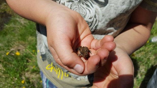 (Daniela Ginta photo)