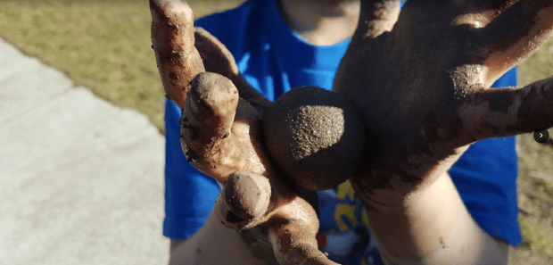 (Daniela Ginta photo)