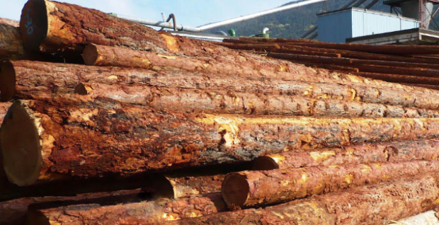 (Interior Lumber Manufacturers Association photo)