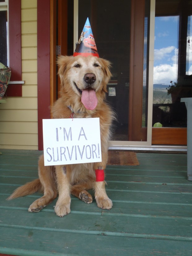 Jesse on 'graduation day' from chemotherapy program.