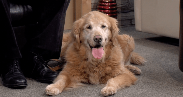 jesse-tvstudio-07dec2016