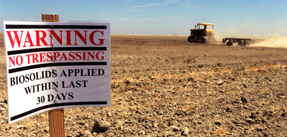 (eco-textiles.wordpress.com)