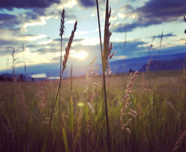 (Daniela Ginta photo)