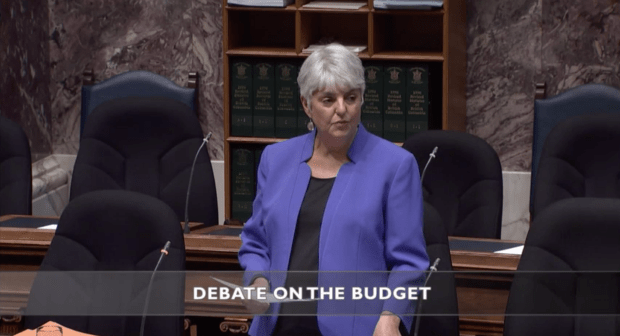 NDP MLA debates budget. (Screenshot, BC Hansard)