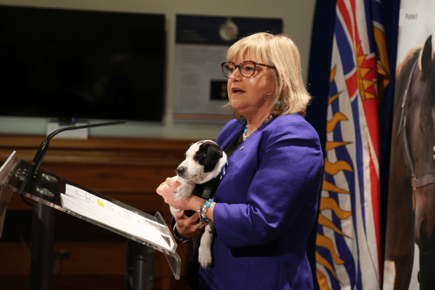 Amendments strengthening hand of SPCA being announced.