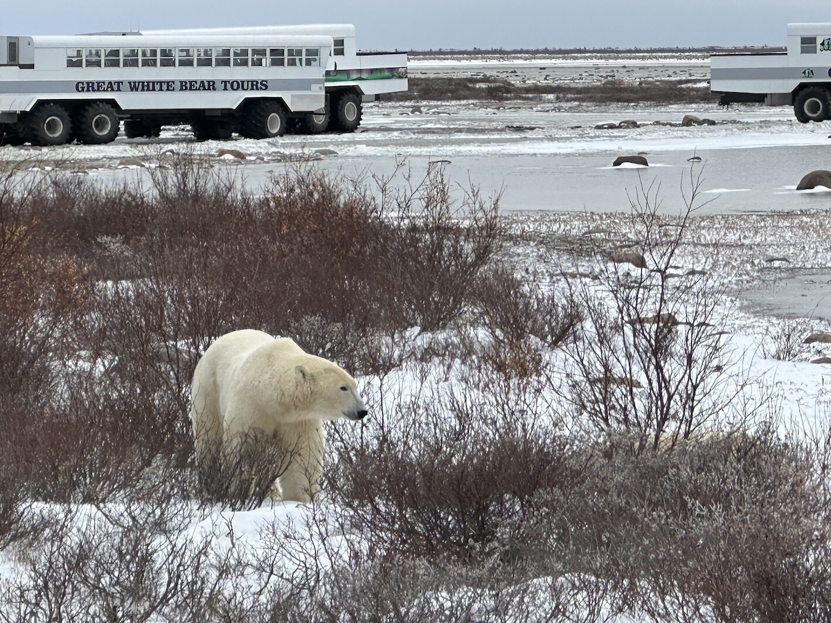 Sorry! Image not available at this time