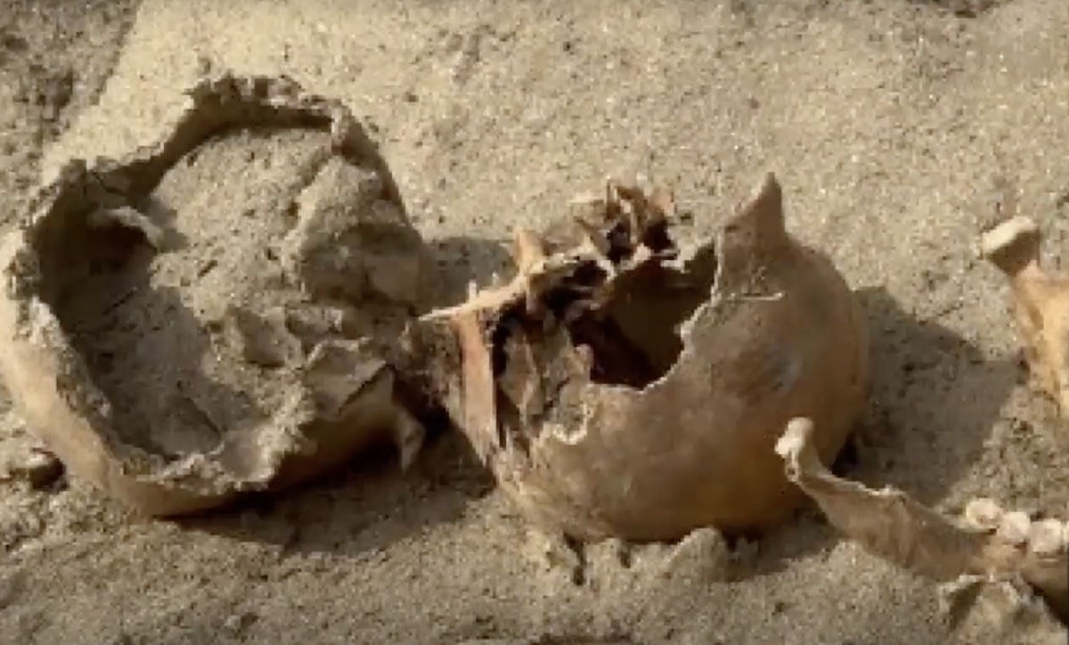 Sorry! Image not available at this time